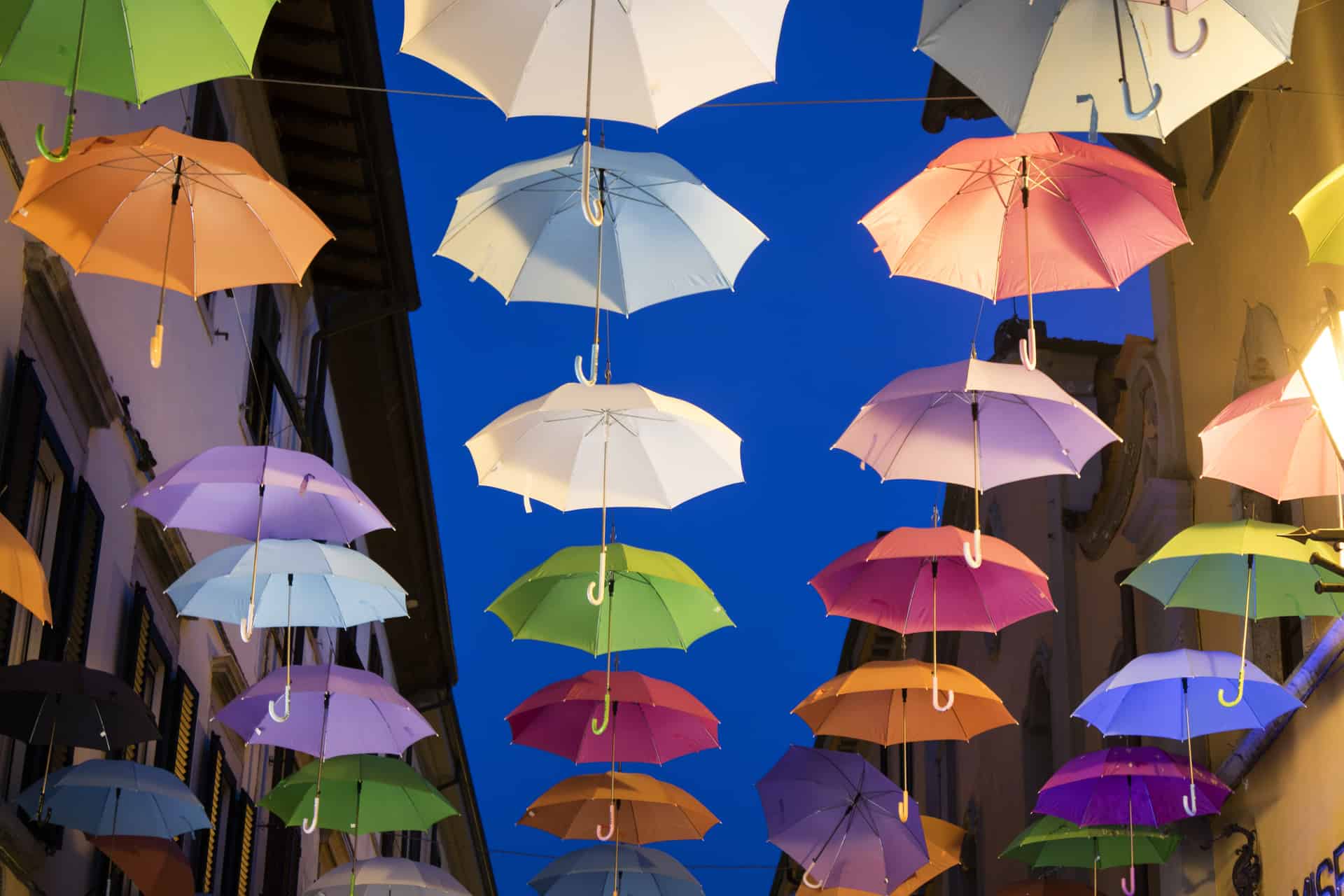 What You Need to Know About Umbrella Schemes Tax Evasion