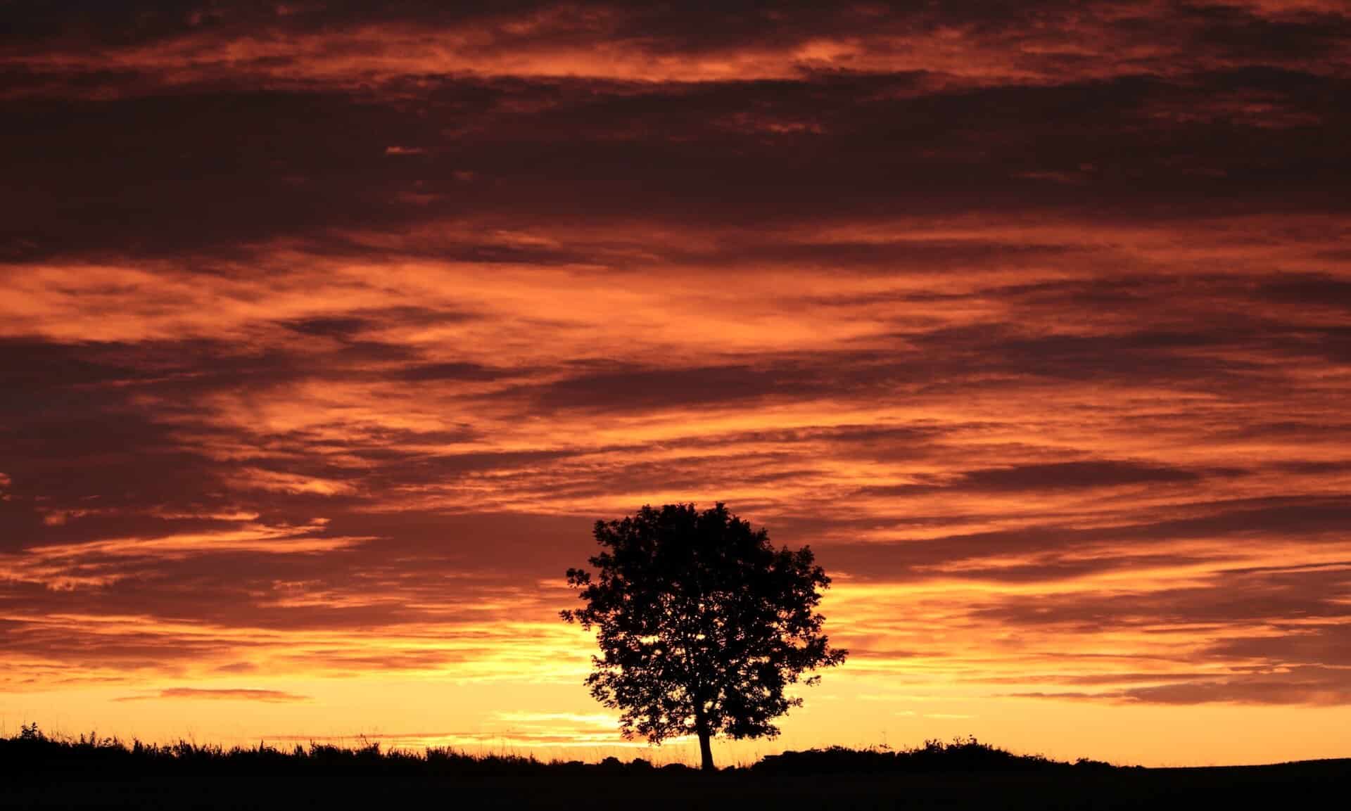 IHT And Trusts Planning – A Balanced Perspective for Modern Estates